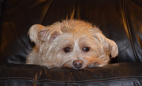 പ്രതീകാത്മക ചിത്രം