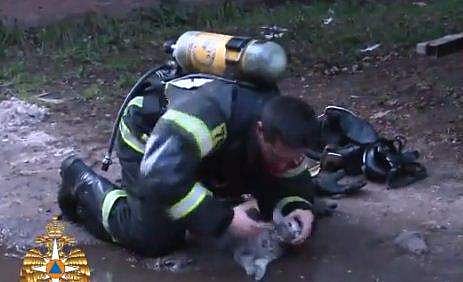 'എല്ലാ ജീവനുകളും പ്രധാനപ്പെട്ടതാണ്'; പൂച്ചയെ കെട്ടിത്തൂക്കി കൊന്നവർ സഹജീവി സ്നേഹത്തിന്റെ ഈ കാഴ്ച കാണണം