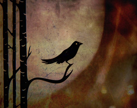 കവി ഒരു ചെരുപ്പുകുത്തിയാണ്: കെ ഗോപിനാഥന്‍ എഴുതിയ കവിത