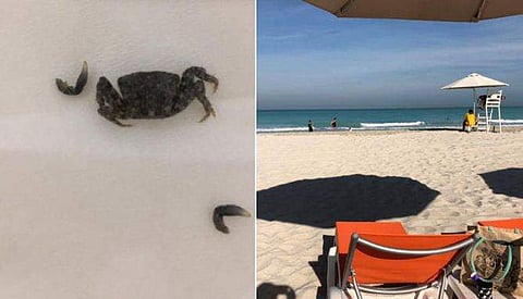 കടലില്‍ മുങ്ങിക്കുളിച്ച് യുവാവ്; ചെവിയില്‍ ഞണ്ട് കയറി; ജീവനോടെ പുറത്തെടുത്ത് ഡോക്ടര്‍; അമ്പരപ്പ്