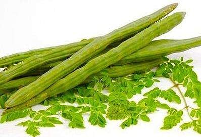 മുരിങ്ങ 'സൂപ്പറാ'ണെന്ന് സായിപ്പ് ; ഇതൊക്കെ ഞങ്ങള്‍ നേരത്തേ മനസിലാക്കിയിട്ടുണ്ടെന്ന് ഇന്ത്യക്കാര്‍, ട്വിറ്റര്‍ 'മുരിങ്ങ മയം'