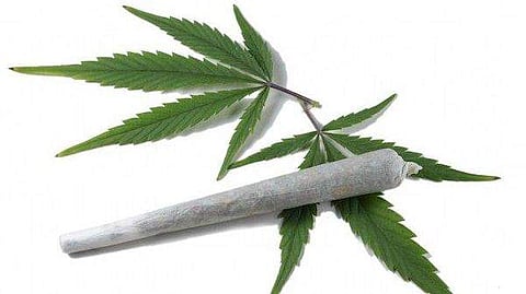 കഞ്ചാവിനോട് നോ പറയാം; വിഷാദത്തിലേക്ക് നയിക്കുമെന്ന് പഠന റിപ്പോര്‍ട്ട്