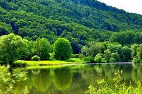 ലോകത്തെ 'പച്ച' പിടിപ്പിക്കുന്നത് ഇന്ത്യയും ചൈനയും; നാസ