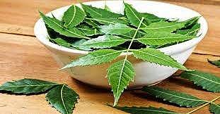 ആര്യവേപ്പില: കാന്‍സറിനെ വരുതിയിലാക്കുന്ന ഔഷധം