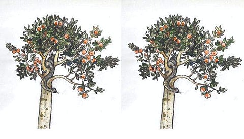 ചിഹ്നമില്ലാച്ചീട്ട്: അശോകന്‍ എഴുതിയ കഥ