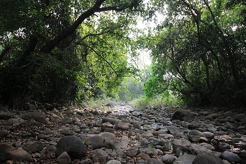 വരണ്ടൊഴുകുന്ന ചെമ്പേരിപ്പുഴ- ഒറോതയുടെ വഴികള്‍