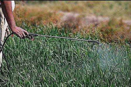 തരിശു ഭൂമിയില്‍ സോളാര്‍ പാനലുകള്‍ വയ്ക്കാന്‍ സഹായം, വളവും വെള്ളവും കുറഞ്ഞ കൃഷിക്ക് പദ്ധതി