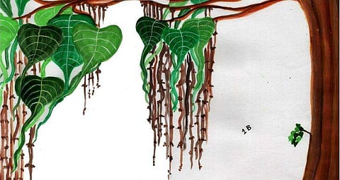 ഭഗവതിയുടെ ജട: കെ.വി. മണികണ്ഠന്‍ എഴുതിയ കഥ