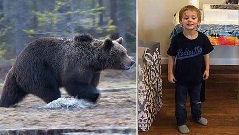 കാണാതായ മൂന്നുവയസ്സുകാരനെ കൊടുംശൈത്യത്തില്‍ നിന്നും 'സംരക്ഷിച്ച്' കരടി ; ദൈവം അയച്ച സുഹൃത്തെന്ന് കുടുംബം