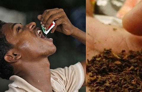 പാചകം ചെയ്യുമ്പോള്‍ പാന്‍ മസാലയും മുറുക്കാനും വേണ്ട; ഹോട്ടലുകള്‍ക്കു മാര്‍ഗനിര്‍ദേശങ്ങള്‍