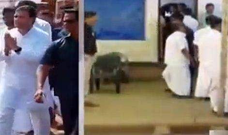 പെരിയ ഇരട്ടക്കൊലപാതകം: ഇരകള്‍ക്ക് നീതി ലഭിക്കണമെന്ന് രാഹുല്‍ ഗാന്ധി; കുറ്റവാളികള്‍ക്ക് ശിക്ഷ ഉറപ്പാക്കും