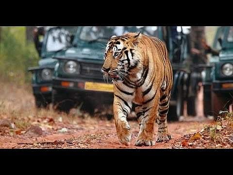 പ്രതീകാത്മക ചിത്രം