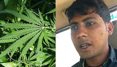 കഞ്ചാവടിച്ച് കിറുങ്ങി, പൊലീസില്‍ വിളിച്ച് വീട്ടിലെത്തിക്കാന്‍ ആവശ്യപ്പെട്ടു; കയ്യില്‍ പണമില്ലാത്തതിനാലെന്ന് യുവാവ് (വിഡിയോ)