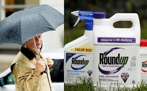 'റൗണ്ടപ്പ്' ക്യാന്‍സറുണ്ടാക്കുന്നു; മൊണ്‍സാന്റോയ്‌ക്കെതിരെ കോടതി, നിരോധിക്കണമെന്ന ആവശ്യം ശക്തമാകുന്നു 
