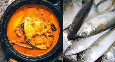 മീന്‍ കഴിച്ചാല്‍ ആസ്ത്മ കുറയുമോ? ധൈര്യമായി ഡയറ്റില്‍ ഉള്‍പ്പെടുത്താം; മികച്ച പ്രതിരോധ മാര്‍ഗ്ഗമെന്ന് ഗവേഷകര്‍