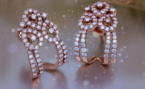 ജ്വല്ലറിയില്‍ നിന്ന് വജ്ര കമ്മല്‍ മോഷ്ടിച്ചത് എലി, പാര്‍വതീ ദേവിയ്ക്കുള്ള സമ്മാനമല്ലേ കൊണ്ടു പൊയ്‌ക്കോട്ടെയെന്ന് കടക്കാരന്‍ 