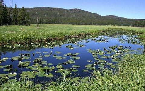 ജീവന്റെ ആദ്യ തുടിപ്പ് ഒരു തടാകത്തില്‍ ! കണ്ടെത്തലുമായി ഇന്ത്യന്‍ ശാസ്ത്രജ്ഞനും സംഘവും 