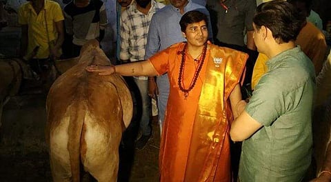 'ഗോമൂത്രം കുടിച്ച് ഞാന്‍ സ്തനാര്‍ബുദം മാറ്റിയെടുത്തു'; അവകാശവാദവുമായി പ്രജ്ഞാ സിങ്‌ താക്കൂര്‍