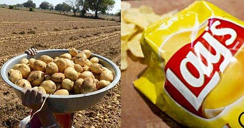 ഉരുളക്കിഴങ്ങ് കേസ്: ഒത്തുതീർപ്പുമായി പെപ്സിക്കോ, കൃഷി ചെയ്ത് കൈമാറിയാൽ കേസിൽ നിന്ന് ഒഴിവാക്കാം