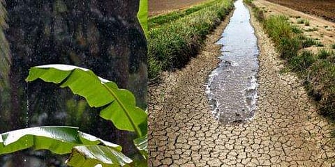 വേനൽ മഴ ചതിച്ചു; 61 ശതമാനം കുറവെന്ന് കാലാവസ്ഥാ നിരീക്ഷണ കേന്ദ്രം