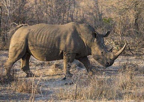 ചിത്രം: AFP