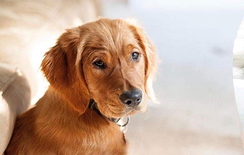 പ്രതീകാത്മക ചിത്രം