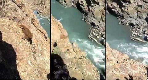 എന്തിന് ഈ മിണ്ടാപ്രാണിയോട് ഇങ്ങനെ?; മല കയറി വരുന്ന കരടി; കല്ലെറിഞ്ഞുവീഴ്ത്തി ആള്‍ക്കൂട്ടം; വീഡിയോ