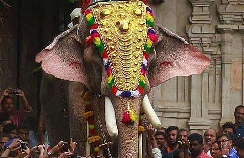 പൂരം വിളംബരം ചെയ്യാന്‍ തെച്ചിക്കോട്ടുകാവ് രാമചന്ദ്രനെത്തും ; എഴുന്നള്ളത്തിന് ഉപാധികളോടെ അനുമതി