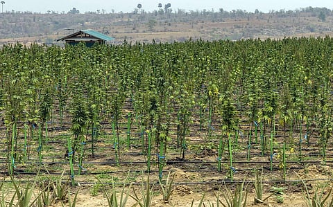 മലമടക്കുകളിലെ മഞ്ഞും വെയിലും: മുസൂറി യാത്രയെക്കുറിച്ച്