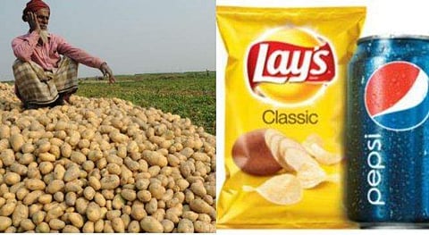 പ്രതിഷേധത്തിന് മുന്‍പില്‍ മുട്ടുമടക്കി; ഉരുളക്കിഴങ്ങ് കര്‍ഷകര്‍ക്കെതിരെയുളള കേസ് പെപ്‌സികോ പിന്‍വലിച്ചു