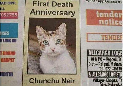 പൂച്ചയെയും 'നായരാ'ക്കി പത്രപരസ്യം; 'നമ്പൂതിരിപ്പാട്' പൂച്ചയെപ്പോഴെന്ന് സോഷ്യല്‍ മീഡിയ