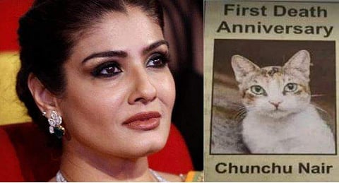 'ഇതില്‍ ഇത്ര പറയാന്‍ എന്താണുള്ളത്? ഞങ്ങളും വളര്‍ത്തുമൃഗങ്ങള്‍ക്ക് സര്‍നെയിം നല്‍കാറുണ്ട്'