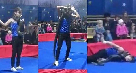 കൂറ്റന്‍ പെരുമ്പാമ്പിനെ കഴുത്തിലിട്ട് പ്രകടനം ; അത്ഭുതസ്തബ്ധരായി കാണികള്‍ ; സര്‍ക്കസ് അഭ്യാസിക്ക് ദാരുണാന്ത്യം (വീഡിയോ)