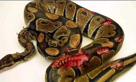 പ്രതീകാത്മക ചിത്രം