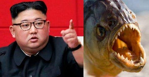 കിം ജോങ് ഉൻ സൈനിക ജനറലിനെ വെട്ടിനുറുക്കി നരഭോജി മൽസ്യങ്ങൾക്ക് ഇട്ടുകൊടുത്തു ; പ്രചോദനമായത് ജയിംസ് ബോണ്ട് ചിത്രം 