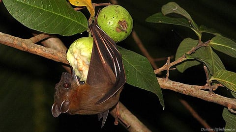 പ്രതീകാത്മക ചിത്രം