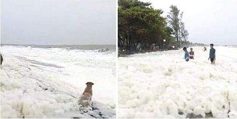 കൊല്ലം തീരത്ത് തിരമാലയ്‌ക്കൊപ്പം പതയടിഞ്ഞ സംഭവം, ജില്ലാ ദുരന്ത നിവാരണ സമിതി പഠനം നടത്തും