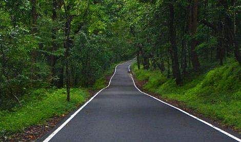 ഡ്രൈവറുടെ കാബിനിലേക്ക് കൈപ്പത്തി നീണ്ടുവന്നു, മരത്തില്‍ നിന്ന് അവര്‍ തൂങ്ങിയിറങ്ങി; നടുക്കുന്ന കവര്‍ച്ച 