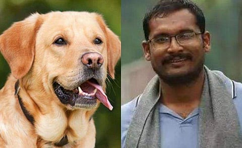 ലാബര്‍ഡോര്‍ ചത്തതിന് വെറ്റിറനറി ഡോക്ടർക്ക് മർദ്ദനം; തിരുവനന്തപുരത്ത് നാലുപേർ അറസ്റ്റിൽ 