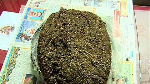 പൊലീസില്‍ നിന്ന് രക്ഷനേടി മകളും ഭര്‍ത്താവുമൊപ്പം യാത്ര; ഗുരുവായൂരില്‍ അഞ്ച് കിലോ കഞ്ചാവുമായി യുവതി പിടിയില്‍