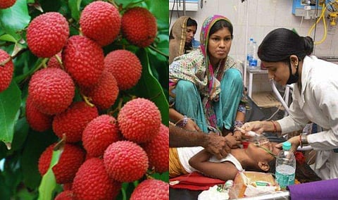 ബീഹാറില്‍ നൂറിലധികം കുരുന്നു ജീവന്‍ അപഹരിച്ചത് ലിച്ചിപ്പഴമോ?, വൈദ്യശാസ്ത്ര രംഗത്ത് ചര്‍ച്ചകള്‍ കൊഴുക്കുന്നു  