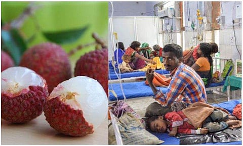 'ഞങ്ങളെന്താ വിഡ്ഢികളാണോ?' ഒരു കുഞ്ഞിനും ഞങ്ങള്‍ ലിച്ചിപ്പഴം കൊടുത്തിട്ടില്ല 