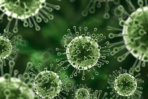 വിദ്യാര്‍ത്ഥിക്ക് രോഗം ബാധിച്ചത് തൊടുപുഴയില്‍ നിന്ന് ; തൃശൂരില്‍ ആറുപേര്‍ നിരീക്ഷണത്തില്‍ ; വടക്കന്‍ പറവൂരിലും ജാഗ്രതാനിര്‍ദേശം