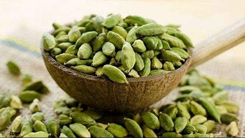 ചരിത്ര കുതിപ്പില്‍ ഏലയ്ക്ക വില ; കിലോയ്ക്ക് 6000 രൂപ, റെക്കോഡ്