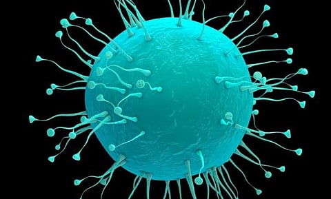 നിപ: വ്യാജപ്രചരണം നടത്തിയ മൂന്നുപേര്‍ക്കെതിരെ കേസ്, സോഷ്യല്‍മീഡിയ അക്കൗണ്ടുകള്‍ നിരീക്ഷണത്തില്‍ 