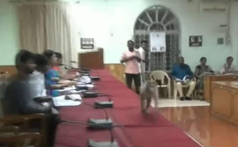 മന്ത്രി വിളിച്ച യോ​ഗത്തിലേക്ക് ഓടിക്കയറി കുരങ്ങൻ; പരിഭ്രാന്തി; വീഡിയോ വൈറൽ