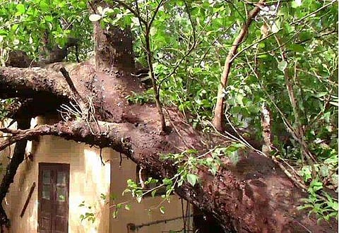 ഫാനിന്റെ തകരാര്‍ കാരണം കിടപ്പുമുറി മാറി; അഞ്ചംഗ കുടുംബത്തിന് ജീവന്‍ തിരിച്ചുകിട്ടി 