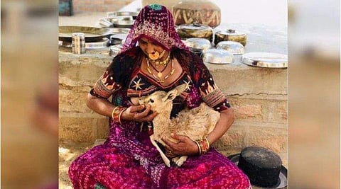 മാതൃത്വത്തിന്റെ മഹിമ; ഇവര്‍ക്ക് സ്വന്തം മക്കളെ പോലെ മാന്‍ കുഞ്ഞുങ്ങള്‍; മുലയൂട്ടുന്ന ചിത്രം വൈറല്‍