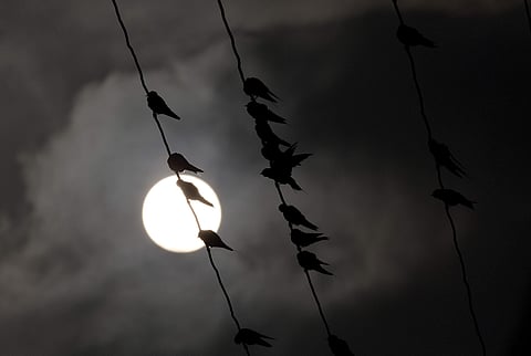 തടുത്തുകൂട്ടല്‍: എംആര്‍ രേണുകുമാര്‍ എഴുതിയ കവിത