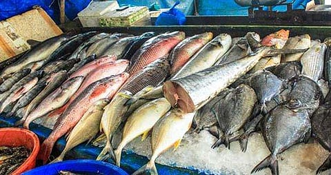 കൊള്ളയടി ഇനി നടക്കില്ല !  ; മീൻവില ഓൺലൈനായി അറിയാൻ സംവിധാനം വരുന്നു